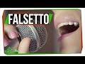 Understanding Falsetto and Vocal Techniques