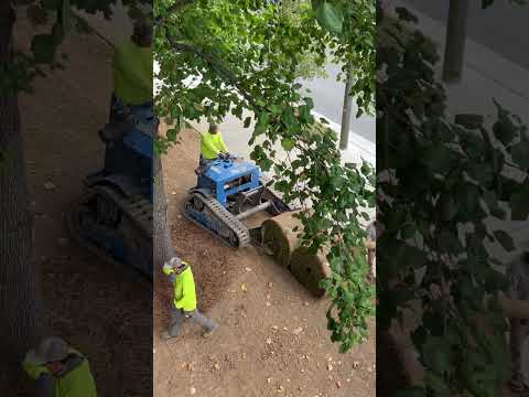 Pros being pros #professional #landscape #grass #yardwork #contractor #trades #construction