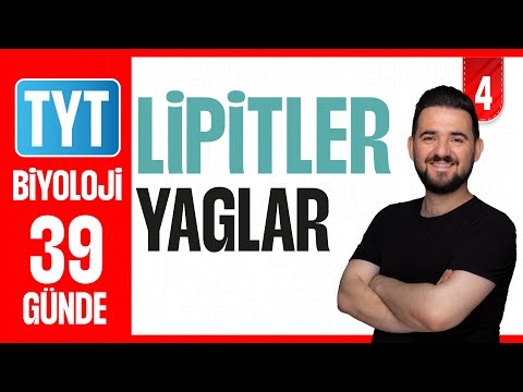 Lipitler(Yağlar) - Soru Çözümü | 39 GÜNDE AYRINTILI TYT BİYOLOJİ KAMPI 2026-27 | 4