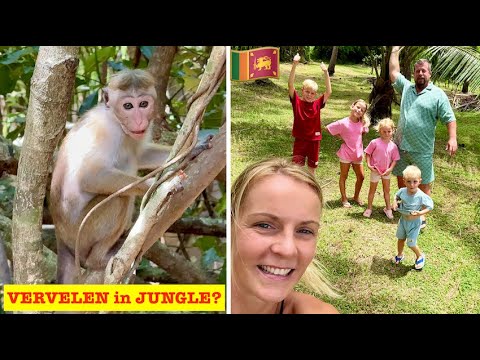 VERVELEN in de JUNGLE toch ONDERSCHAT! 🌴DIT doen de kids DE HELE DAG! 🙉 | Bellinga Vlog #3376
