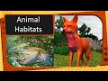 Animal Habitats and Characteristics