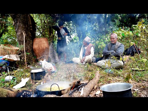 Nomadic Kitchen in the jungle || Mountain shepherd life of Nepal || Himalayan people ||