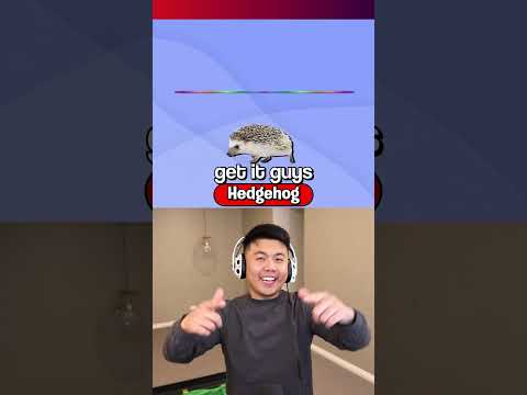 Can You Guess These Sounds?