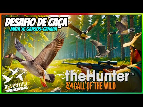 ✔Desafio De Caça Em Revontuli 👉Mata 16 Gansos-Canada💥✔theHunter: Call of the Wild™ #thehunterbrasil