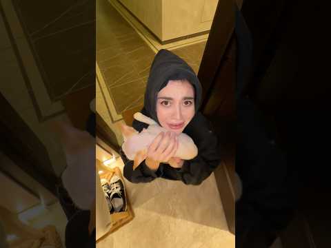 Когда дети несут котов домой