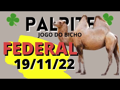 Palpite dia 15/11/2023 - JOGO DO BICHO TODAS AS LOTERIAS 