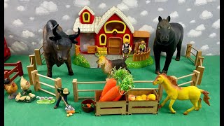 HORSE EATING / CAVALO COMENDO
