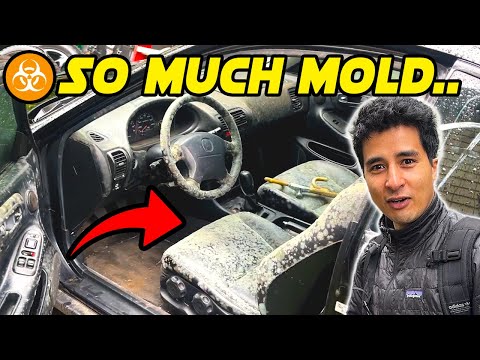 Restoring The MOLDIEST Interior I've Ever Seen - Acura Integra GS-R Rebuild Ep.5