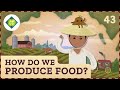 Agricultural Ecosystems and Practices
