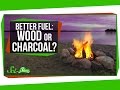 Understanding Combustion: Wood vs. Charcoal