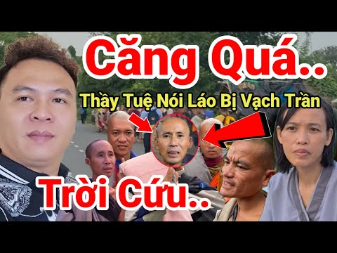 301: Tin Nóng.. Thầy Tuệ Nói Láo Bị Vạch Trần Cúi Mặt Xin Lỗi Đám U Mê..Âm Mưu Vk Chồng Hoàng Mập