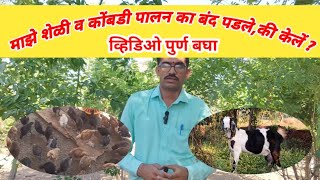 मला शेळी व कोंबडी पालनात का अपयश आले, की मी स्वतःहा बंद केले शेळी व कोंबडी पालन