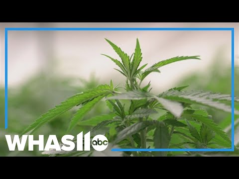 YouTube video thumbnail: Kentucky Medical Cannabis Program Facing More Legal Challenges