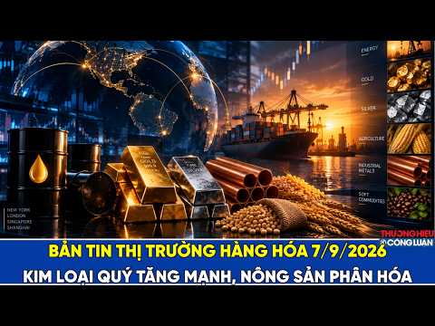 Bản tin thị trường hàng hóa ngày 7/9/2026: Kim loại quý tăng mạnh, nông sản phân hóa