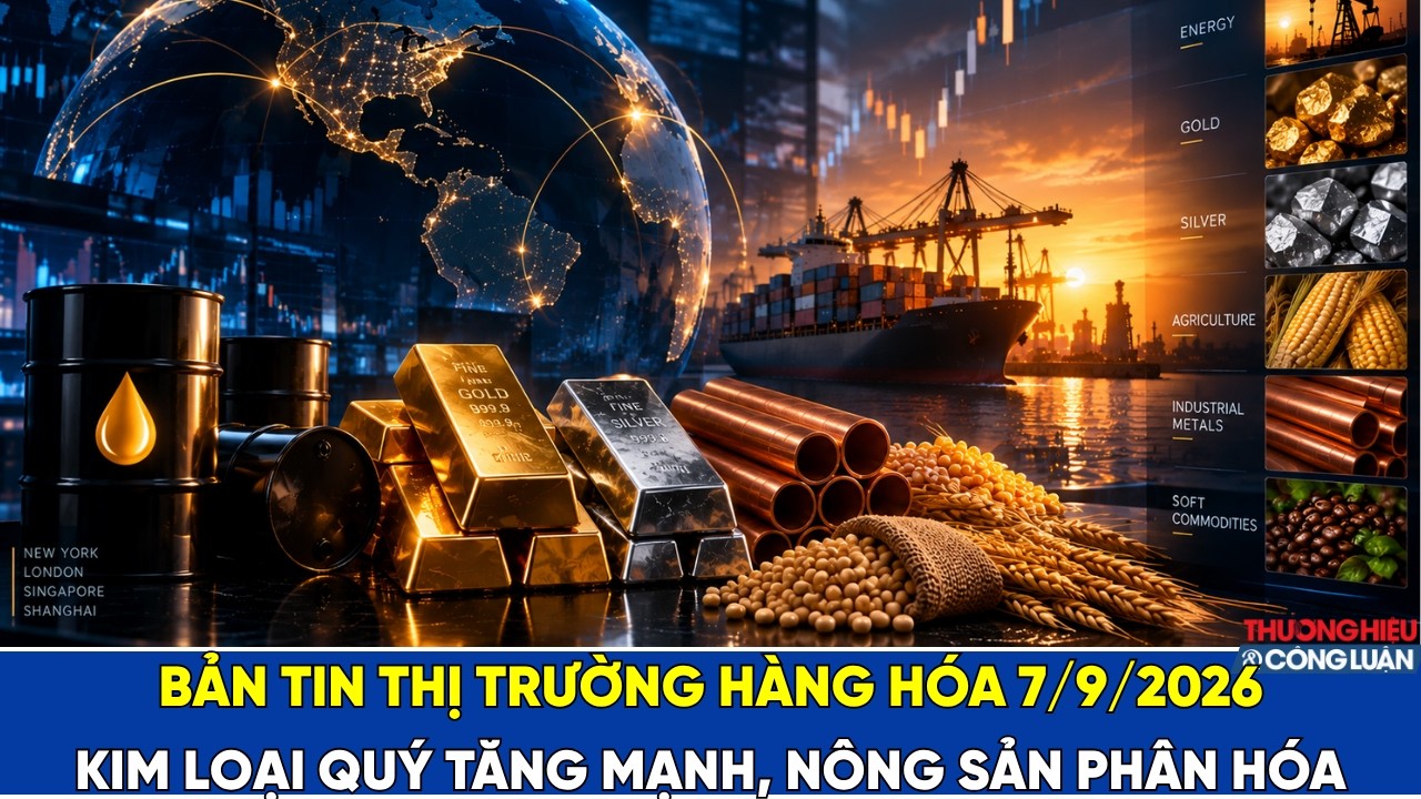Bản tin thị trường hàng hóa ngày 7/9/2026: Kim loại quý tăng mạnh, nông sản phân hóa