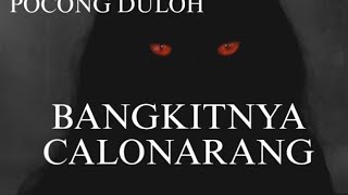 BANGKITNYA CALONARANG DI DISTRIK BEJO