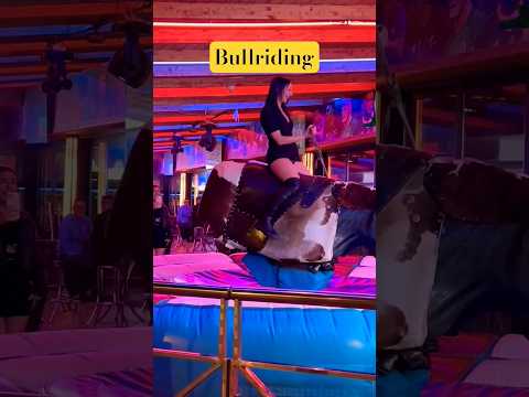 #spanishhorse #benidorm #horse #funny #fun #benidormbeach #foryou