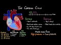 Heart Anatomy and Function Assessment