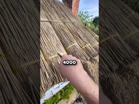 How This Ancient Roof Technique Remains Effective 🤯 (@thethatchingguy)