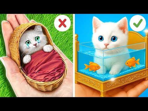 Çöpte Bulunan Zavallı Kedi! ✨ Onu Mutlu, Zengin ve Şık Yapmak İçin DIY Hileleri