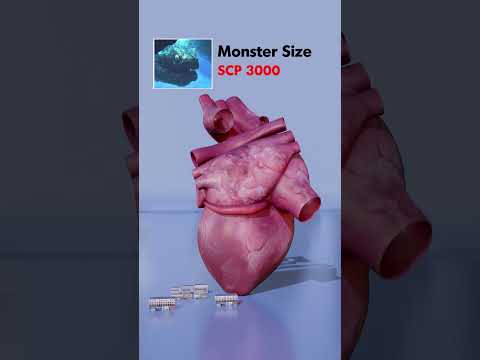 Monster Heart Size Comparison: Giants, Bloop & More