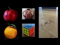 Light Reflection and Color Properties