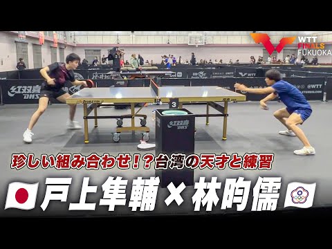 【試合前練習】珍しい組み合わせ？燃える闘魂・戸上隼輔 × 台湾の天才・林昀儒｜WTTファイナルズ福岡2024