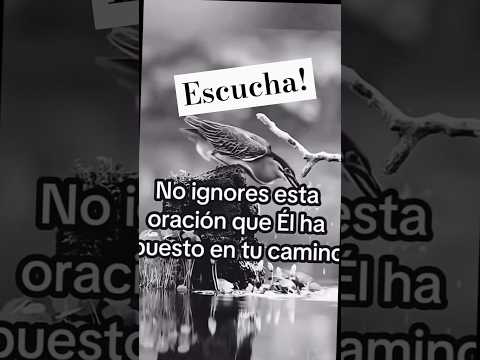 Escucha con atención... Gracias por su apoyo.