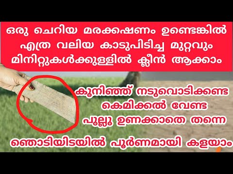 ഒരു ചെറിയ മരക്കഷണം ഉണ്ടെങ്കിൽ കെമിക്കൽ ഇല്ലാതെ, കാടുപിടിച്ച മുറ്റം ക്ലീൻ ആക്കാം|grass removing idea