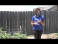 Gardening Knowledge Assessment