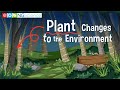 Understanding Plant-Environment Interactions