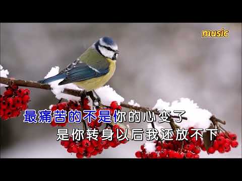 笑天 《傷心的雪花》KTV 伴奏 no vocal 無人聲 music 純音樂 karaoke 卡拉OK 伴唱笑天 《傷心的雪花》