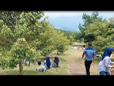 ALUMNI SUKSES SMPN 2 SALEM
