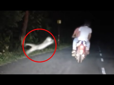 Grabe WAG mo tong papanoorin kung mahilig kang magmotor sa gabi