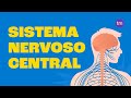 Funções e Estruturas do Sistema Nervoso