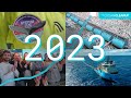 Ocean Cleanup Systems and Achievements