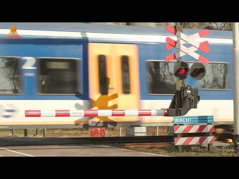 DUTCH RAILROAD CROSSING - Maarheeze – Den Engelsman