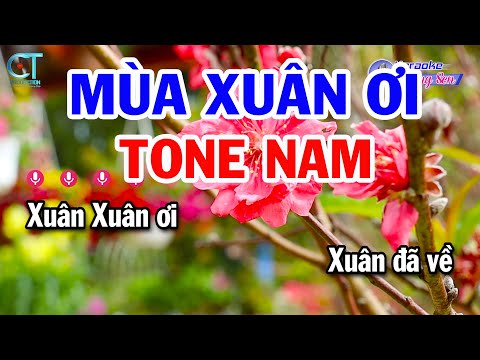 Karaoke Mùa Xuân Ơi Tone Nam Cm || Nhạc Xuân Beat Mới 2025 || Karaoke Đồng Sen