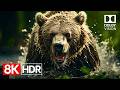 See the World in Unbelievable Detail  8K Dolby Vision HDR 60fps.2160p60 HDR