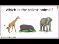Identifying Animals and Objects