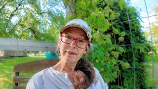 The Good and The Bad | Gardens Need a Gardener