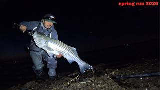como pescar de noche los striped bass en new jersey