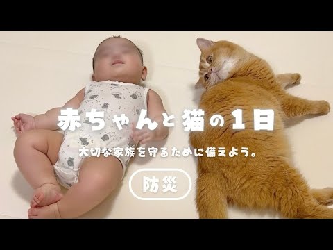 備えは大丈夫？乳幼児と猫のいる家庭の1日に密着しながら防災対策について考えてみた｜新製品【Jackery 1000 New】検証！