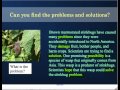 Exploring Problem and Solution Text Structure