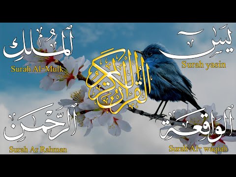 الرقيه الشرعيه الشامله بصوت القارئ حسام الدين عبادي_  بسورة الملك وياسين والواقعة والرحمن ruqyah