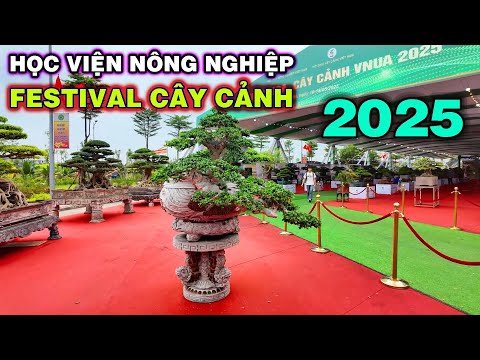 Festival Cây Cảnh tại HV Nông Nghiệp (Gia Lâm) 2025 || Phần 1