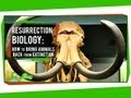 De-Extinction and Its Implications