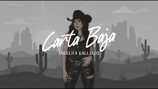 Carta Baja - Angelica Gallegos (Visualizer)