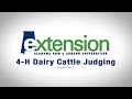 Dairy Cow Judging Criteria