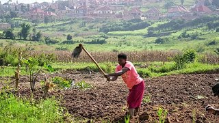 YouTube video thumbnail: Recurring Landslides in Northern Rwanda Destroy Land and Farmland 
